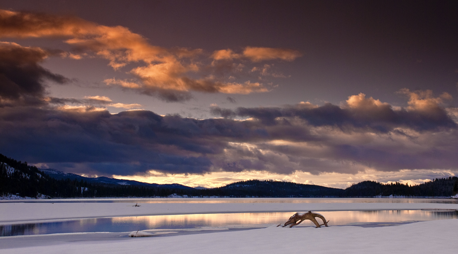 Sharlie the Payette Lake Monster